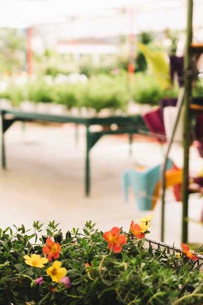 Ankara’nın En Güzel Bahçeli Restoranları – Keyifli Akşamlar İçin Seçenekler